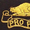 Soldiers' (Mcpl and below) Blazer Badge