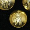 A set of gold plated blazer buttons in the guelphic crown pattern.