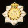 officers_woven_badge_03